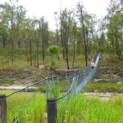 Suspension bridge at West Branch