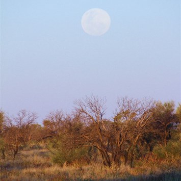 Moonrise over the Talawana