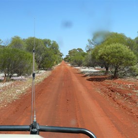 Road into the John Forrest lookout