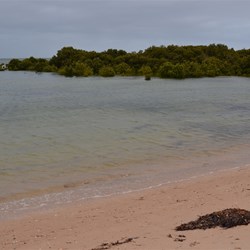 A dark sky and drizzle greeted us at Port Clinton