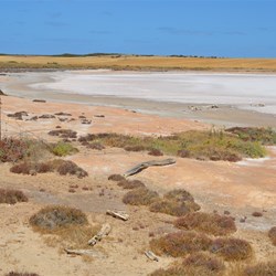 You have to leave the coast for a short distance and there are small salt lakes