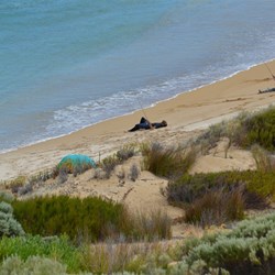 It is ready hard to take the fishing down here