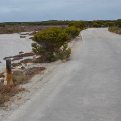 Section of road on the Edge of Browns Lake