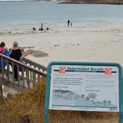 Steps leading down to Dolphin Beach
