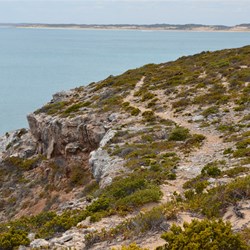 The well defined path at the top of the cliffs