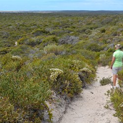 Heading back by the National Parks recommended route