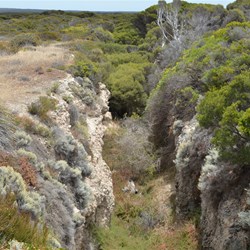 This channel was dug by hand to drain water from Snow Lake to Jollys Beach