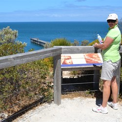 On the Stenhouse Bay Lookout Walk