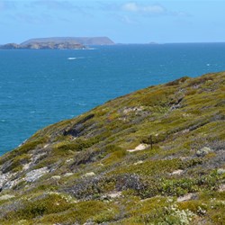 The larger off shore Island is Althorpe Island from the Lookout Walk