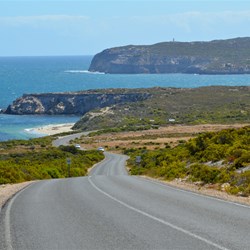 Heading back towards Cape Spencer