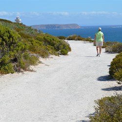 The walk towards Cape Spencer Lighthouse