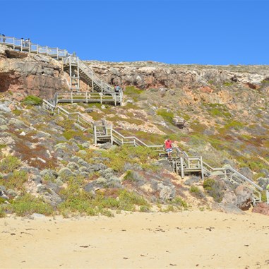 Looking back at the steps down to Ethel Beach