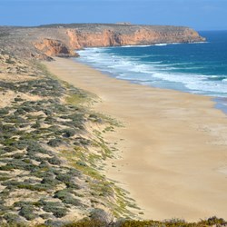 The Beach at West Cape