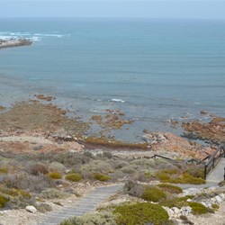 Steps down to Daly Head Surfing area