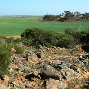 View from the top of Buntine Rocks