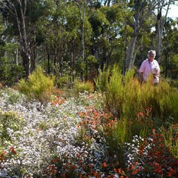 Better than any garden I can make