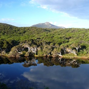 Reflection in the inlet