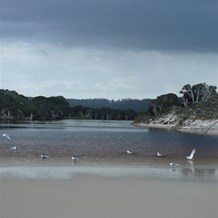 A monochrome landscape under a leaden sky