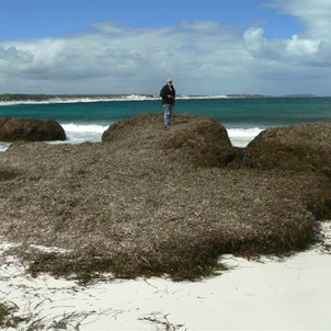 Beach haystacks