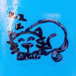 Zenergy - my adopted and rehomed cat is my mascot