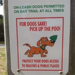 Still found some little doggy landmines