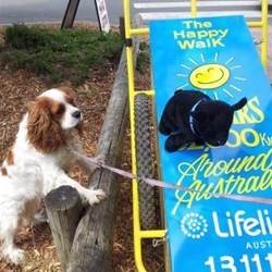 Winston meeting one of the locals