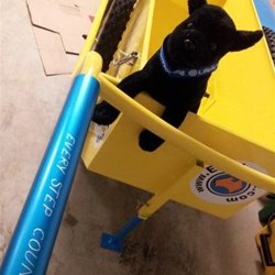 Winston and the Walking Feat baton