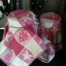 Tea towels over my jars of kefir