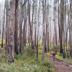 Barkly River Jeep Tk at Rumpff's Saddle