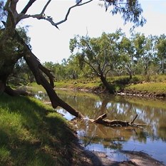 Sturt Creek