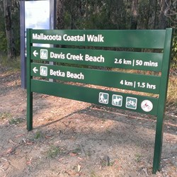 track head information