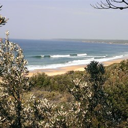 lookout views along the beach towards Betka