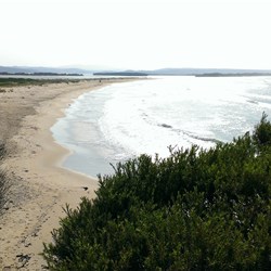 Beach and bar...entrance to Mallacoota estuary