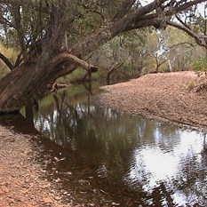 Bungle access creek