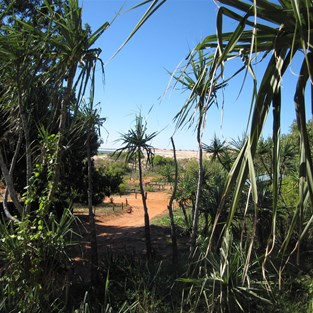 The trail down to the eastern beach