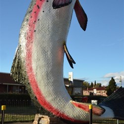 the Big Trout in Adaminaby