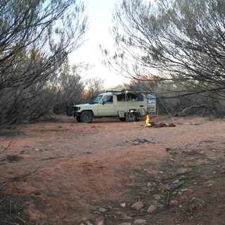 In among the mulga, along the Oodnadatta Track