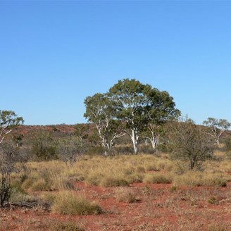 Batton Hill, NE Simpson Desert