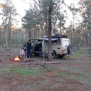 Rankin Springs camp in the state forest