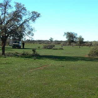 Lunch stop west of Ivanhoe - the country was very green