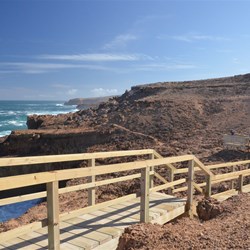 walkways to the viewing platforms