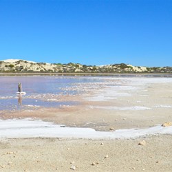 scenery along the road to Cactus beach