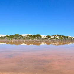driving to Cactus beach