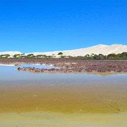 the drive to Cactus beach