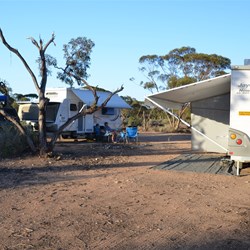 bush camp near Mundrabilla