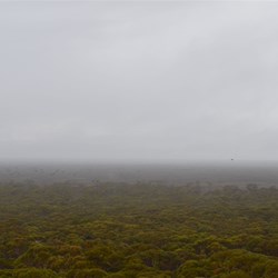 wet and foggy view from the Pass at Madura