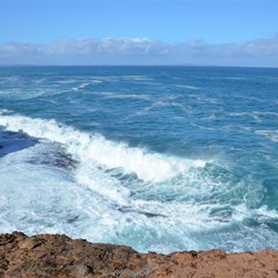 coastline near the blowholes