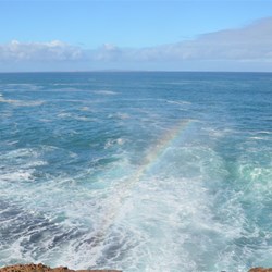 spray at the whistling rocks