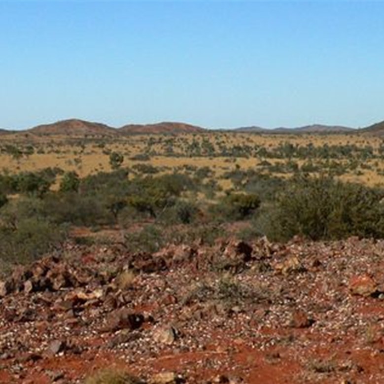 Can we find a suitable site for an out-camp out there?