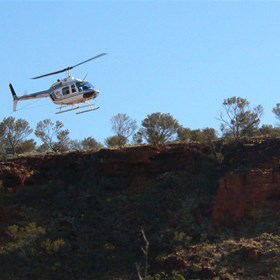 An unexpected visit from above